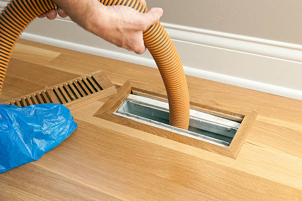 Best Dryer Vent Cleaning Services  in Clearwater, FL